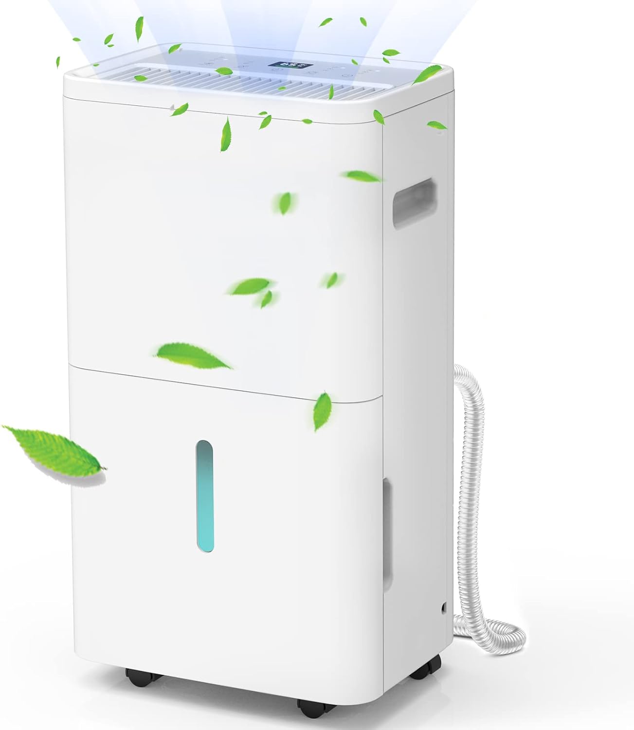 COLAZE 20L/Day Dehumidifiers for Home Damp Basement, Compressor-type Dehumidifie...