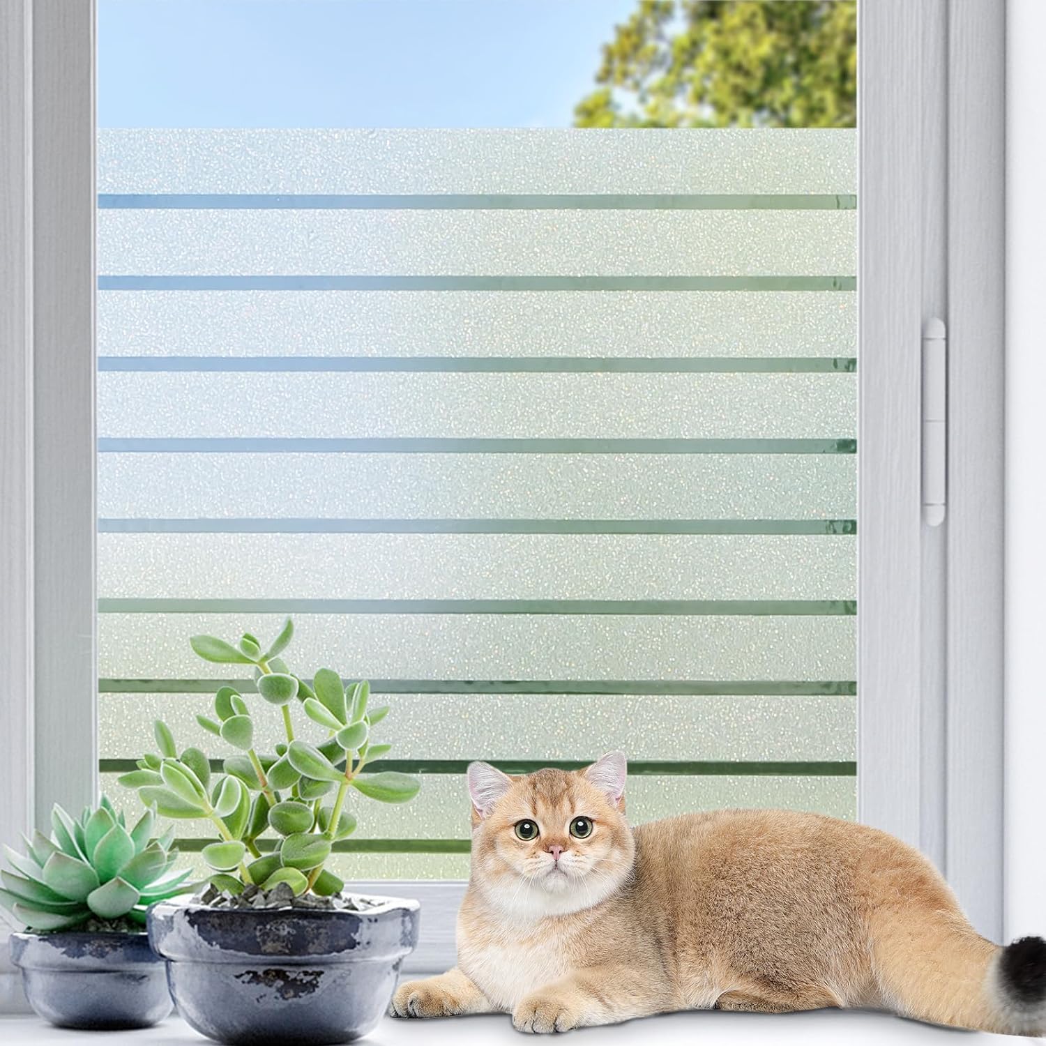 Coavas Window Privacy Film, High-Quality Frosted Glass Window Film for Heat Bloc...