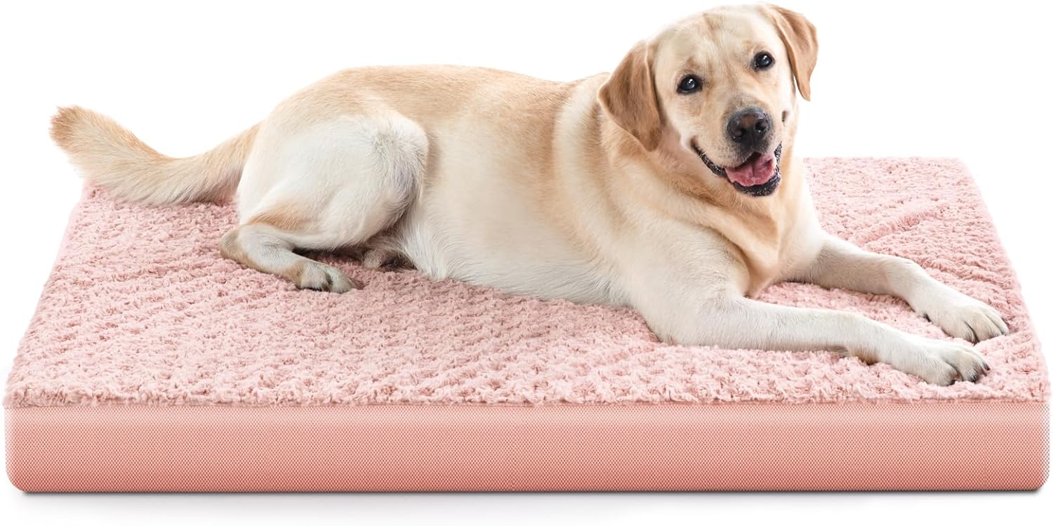 JOEJOY Orthopedic Dog Bed, Special Dog Bed for Large Medium Dogs, Innovative Egg...