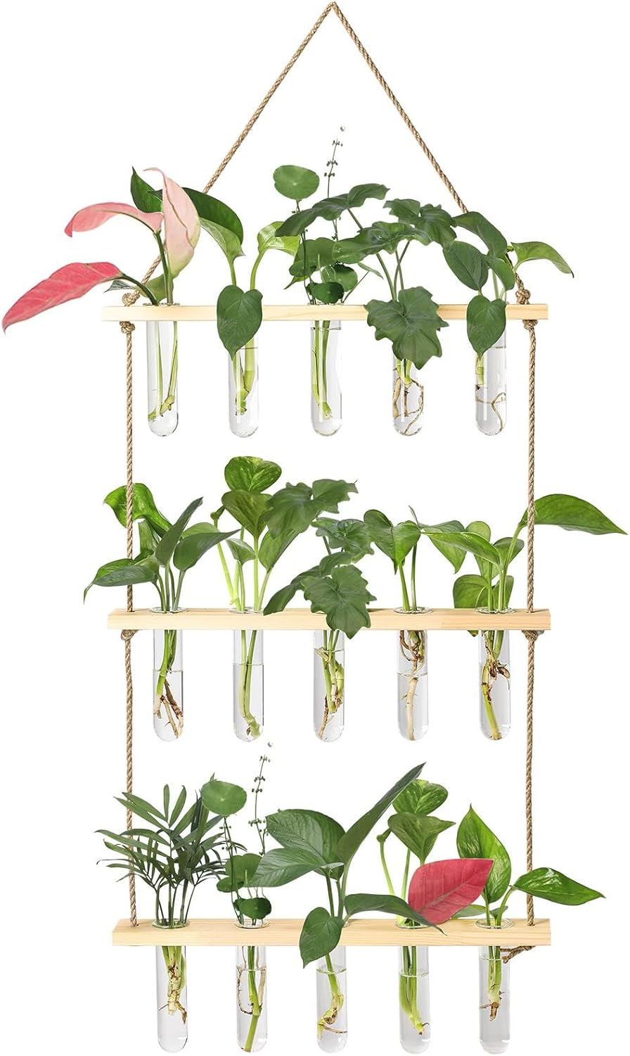 XXXFLOWER Wall Hanging Propagation Station with Wooden Stand 5 Glass Test Tubes...
