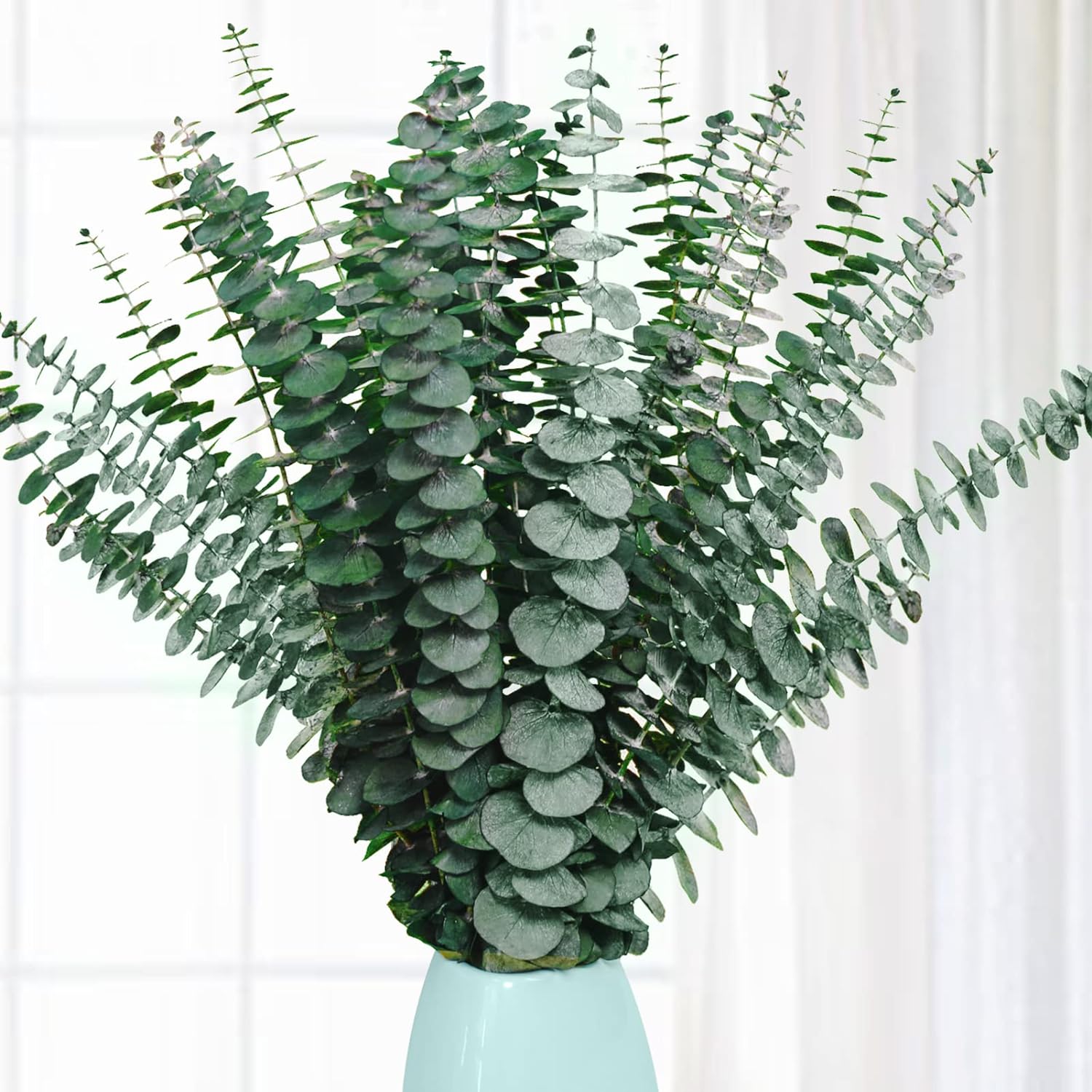 Preserved Dried Eucalyptus Stems, Special Natural Fresh Eucalyptus Branches for...