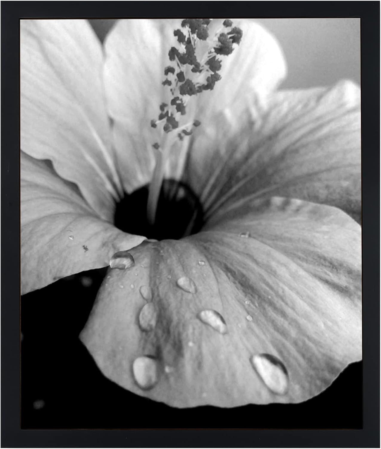 BOJIN 14x17 Picture Frames Black Solid Wood Without Mat Display Poster Wall Hang...