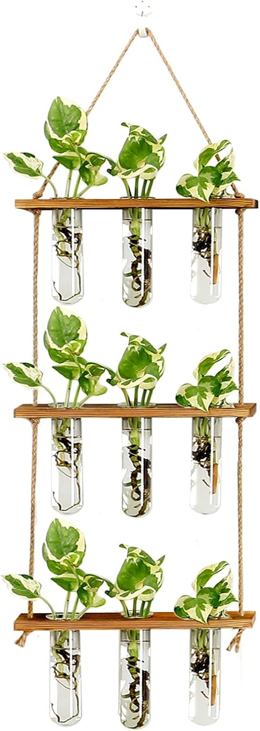 XXXFLOWER Wall Hanging Propagation Station with Wooden Stand Glass Test Tubes Ti...