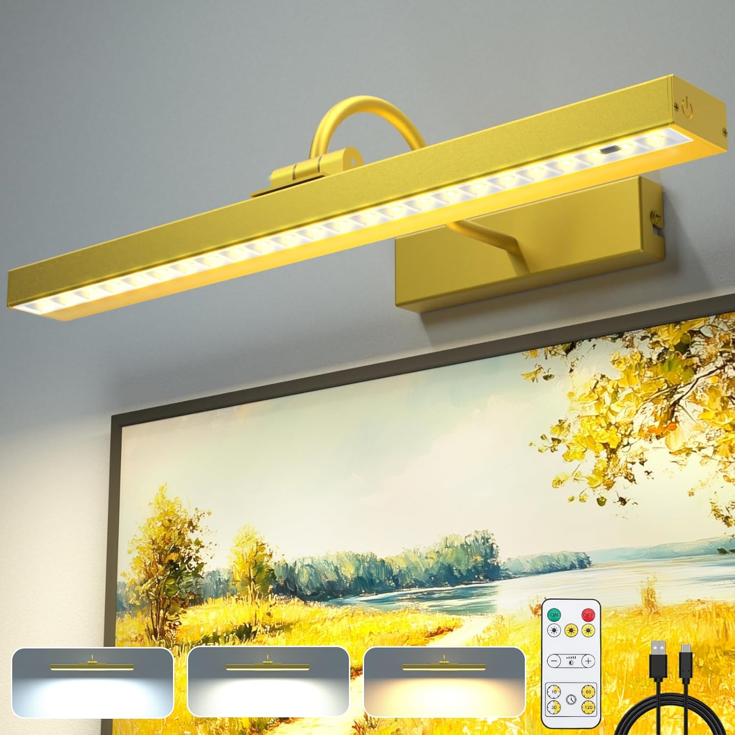 Wireless Picture Light, 16.7in Battery Operated Picture Lights for Wall with Rem...