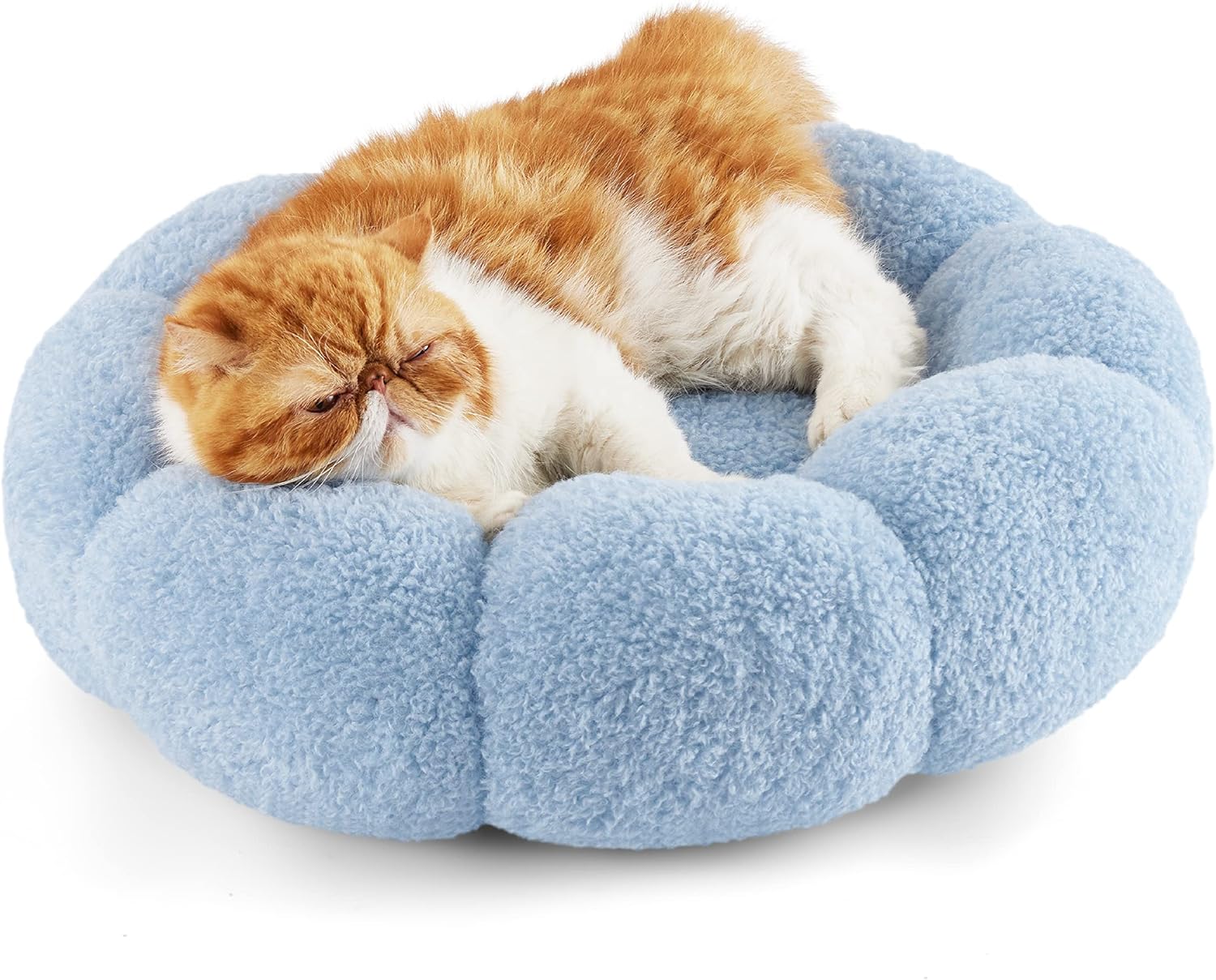 Lesure Calming Cat Beds for Indoor Cats - Cute Flower Pet Beds in Teddy Sherpa P...