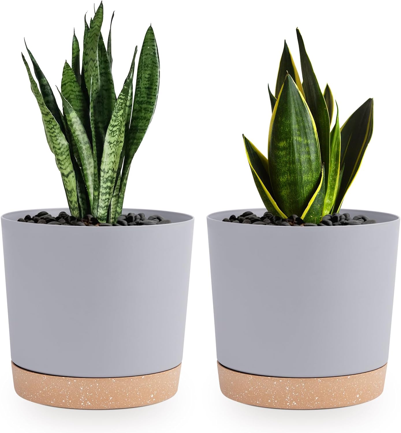 QCQHDU Plant Pots Set of 2 Pack 16.5cm,Planters for Indoor Plants with Drainage...