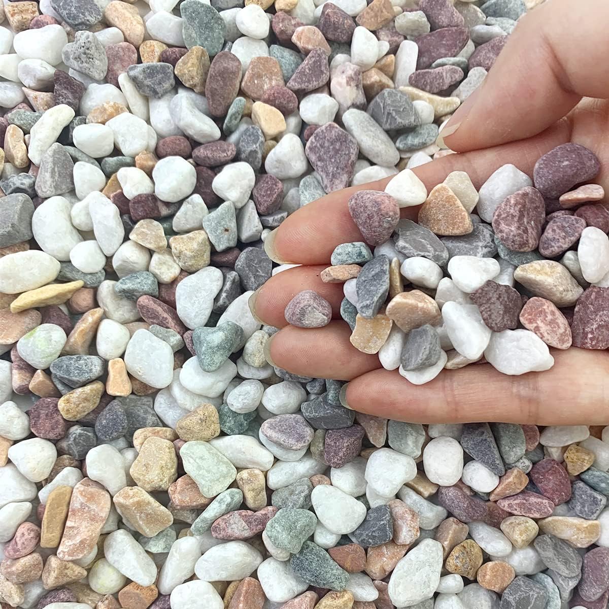 10 lbs Colorful Pebbles Pea, Special Gravel for Landscaping, Innovative 3/8 Inch...