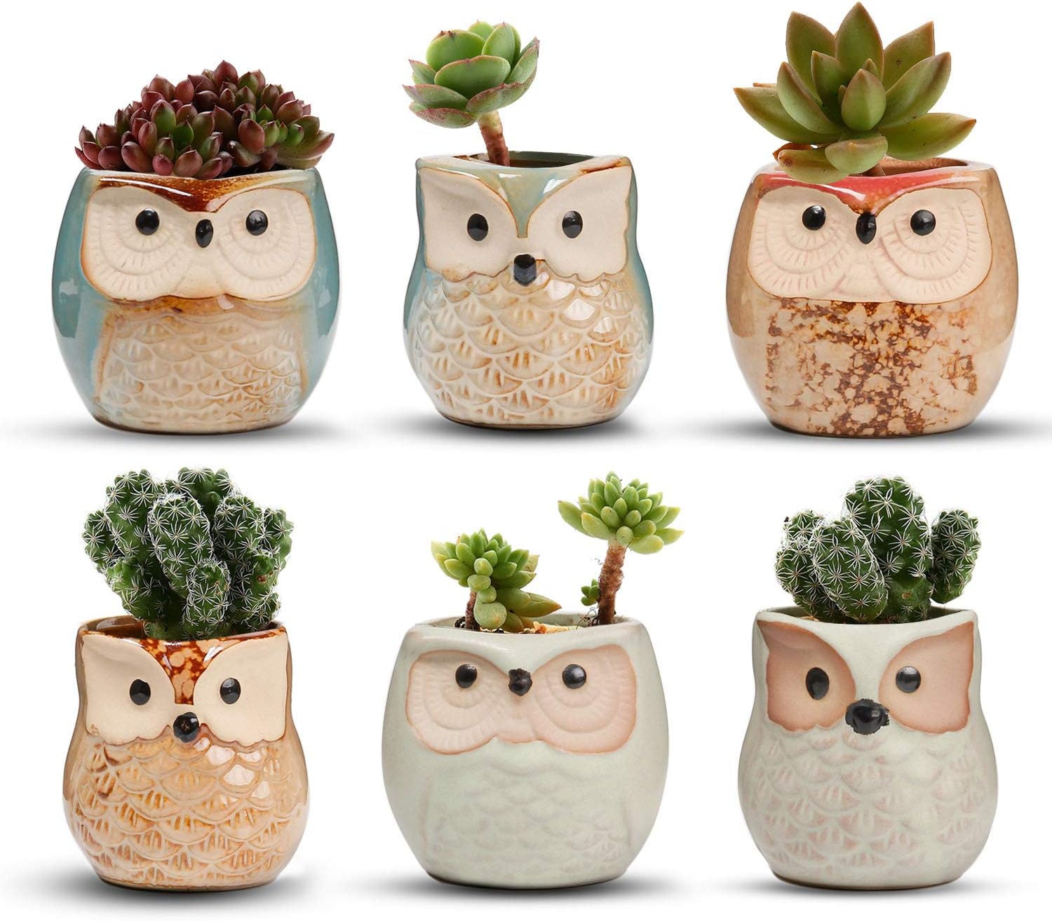 T4U 6CM Ceramic Succulent Planter Pots Mini Size Set of 6, Cute Owl Bonsai Pots...