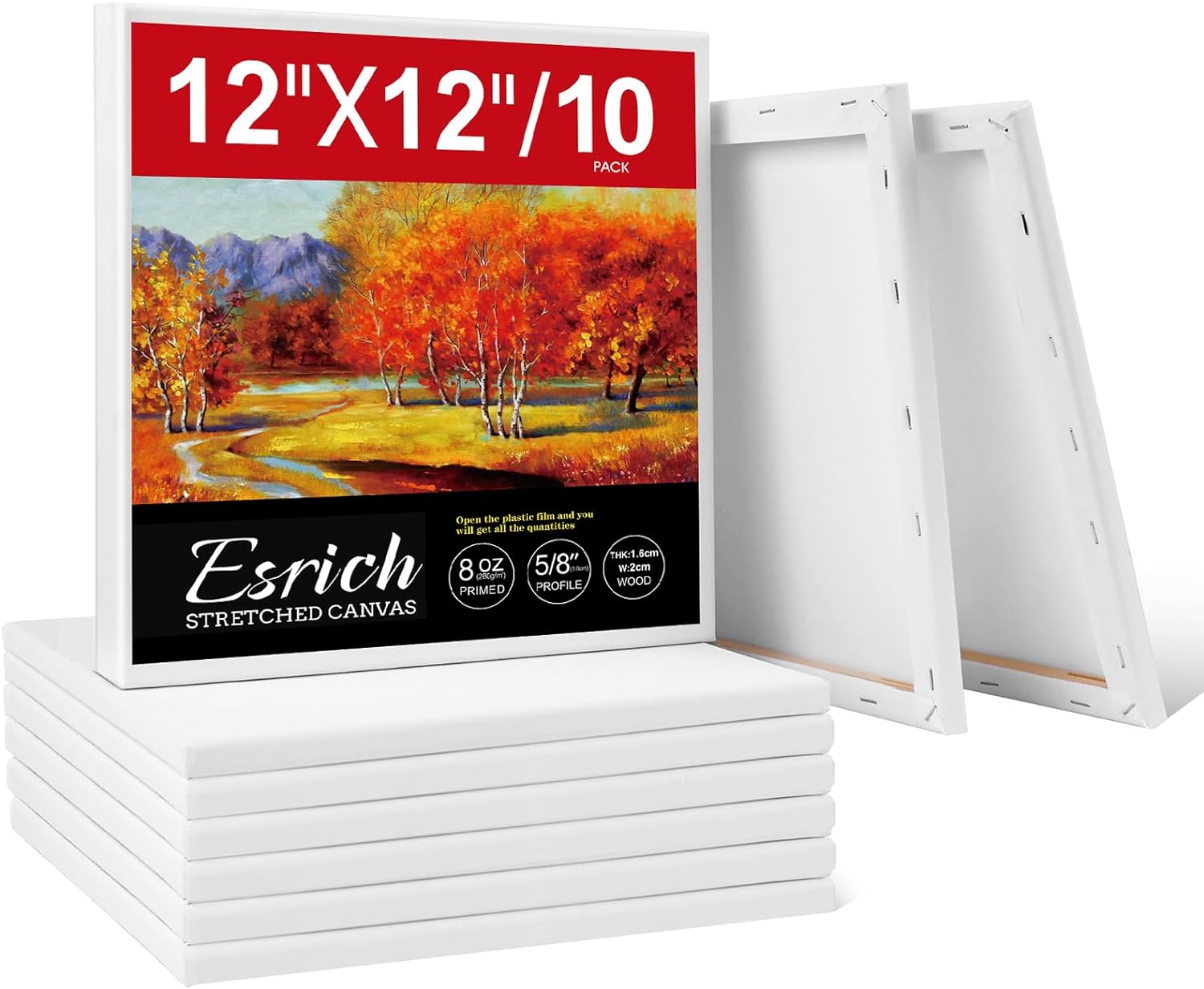 ESRICH Stretched Canvas for Painting 12 x 12 Inch, 10 Pack Blank Canvas -5/8 in...