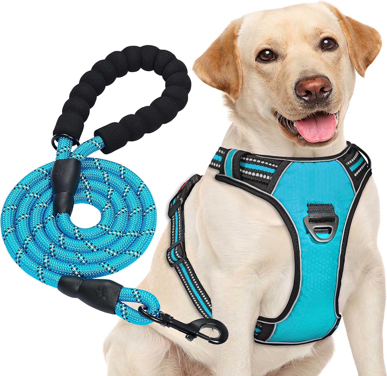 haapaw No Pull Dog Harness, Special Adjustable Reflective Oxford Dog Harness for...