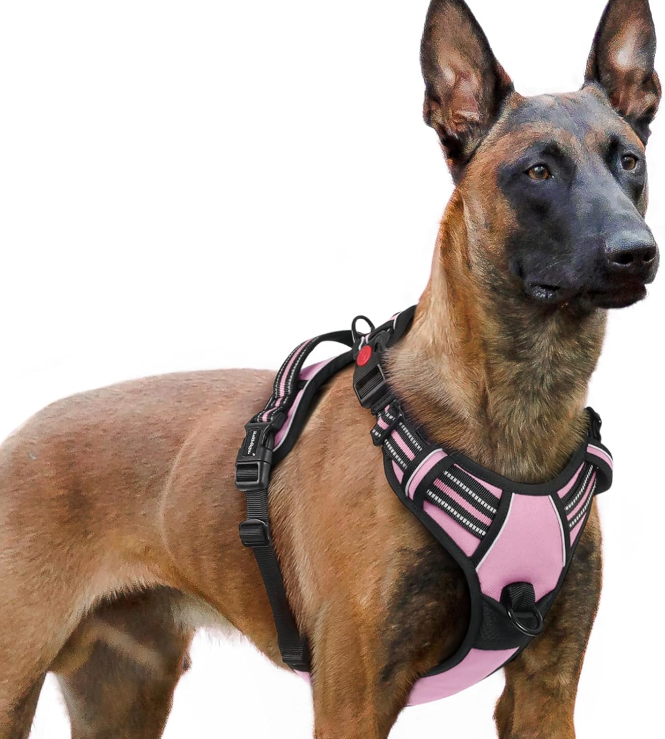rabbitgoo Dog Harness, Special Dog Harness with Neck Release Buckle, Adjustable...