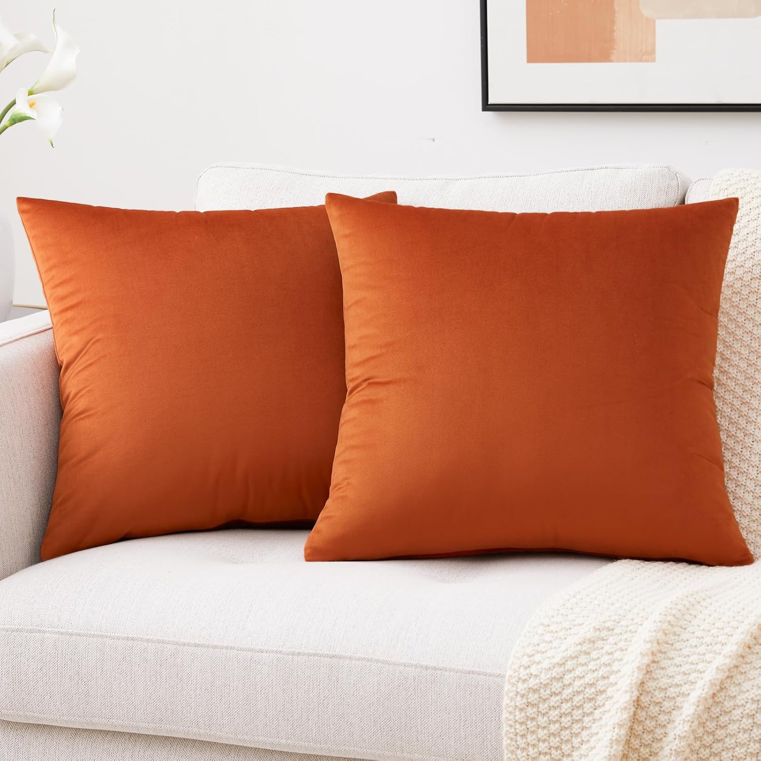 Mixhug Decorative Throw Pillow Covers, Velvet Cushion Covers, Solid Throw Pillow...