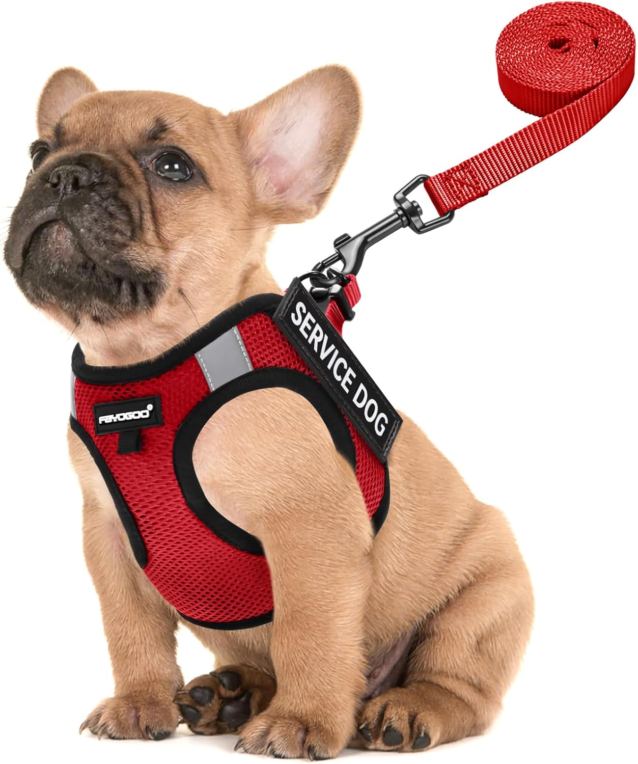 FAYOGOO Service Dog Vest, Special Lightweight Dog Harness with 6PCS Removable Pa...