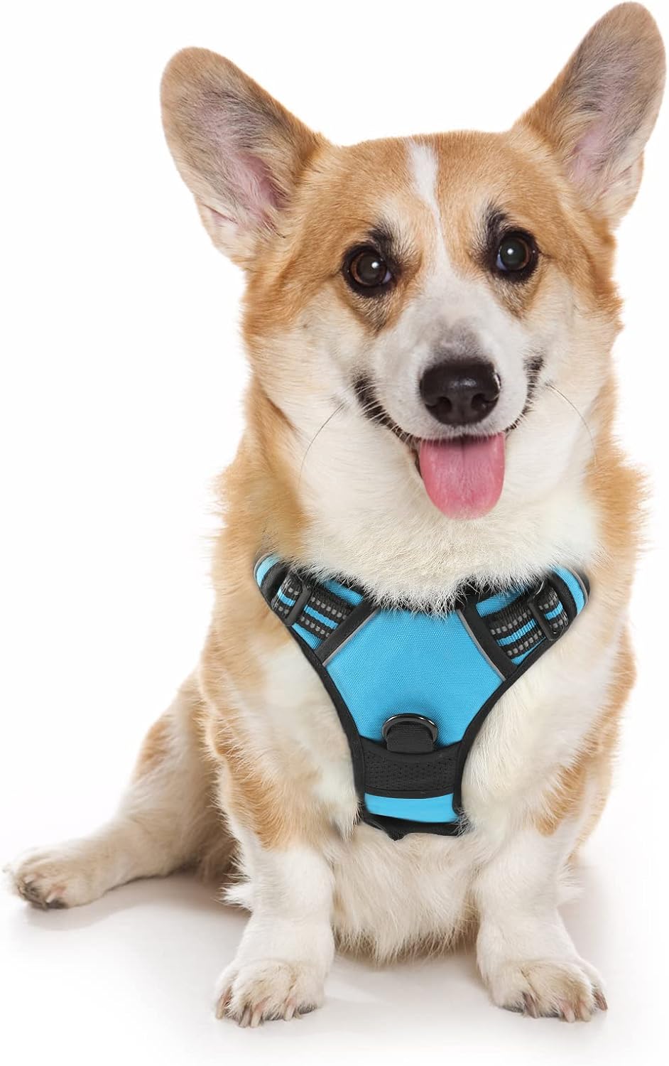 rabbitgoo Dog Harness, Special No-Pull Pet Harness with 2 Leash Clips, Innovativ...