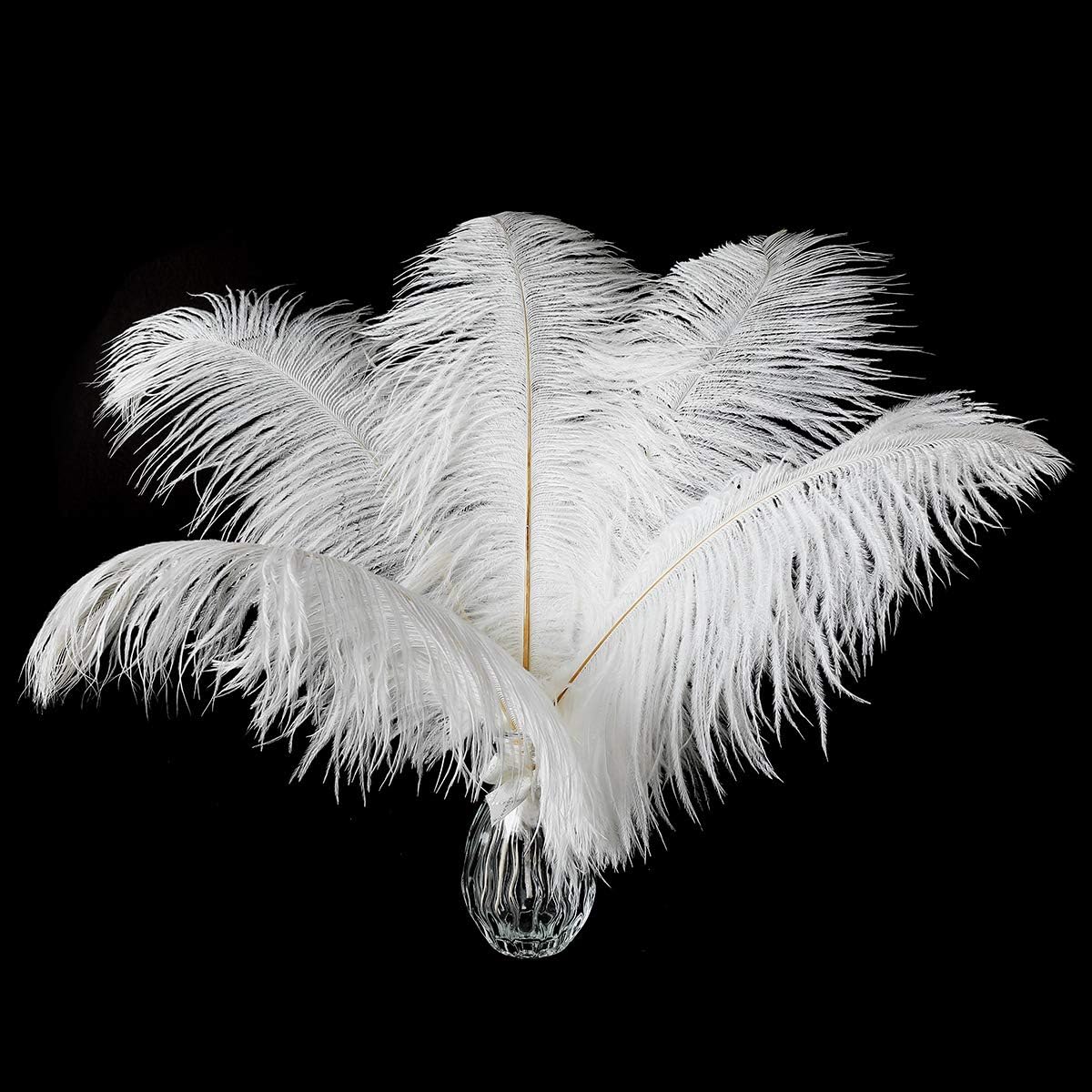 24pcs Natural White Ostrich Feathers 10-12inch (25-30cm) for Wedding Party Cente...