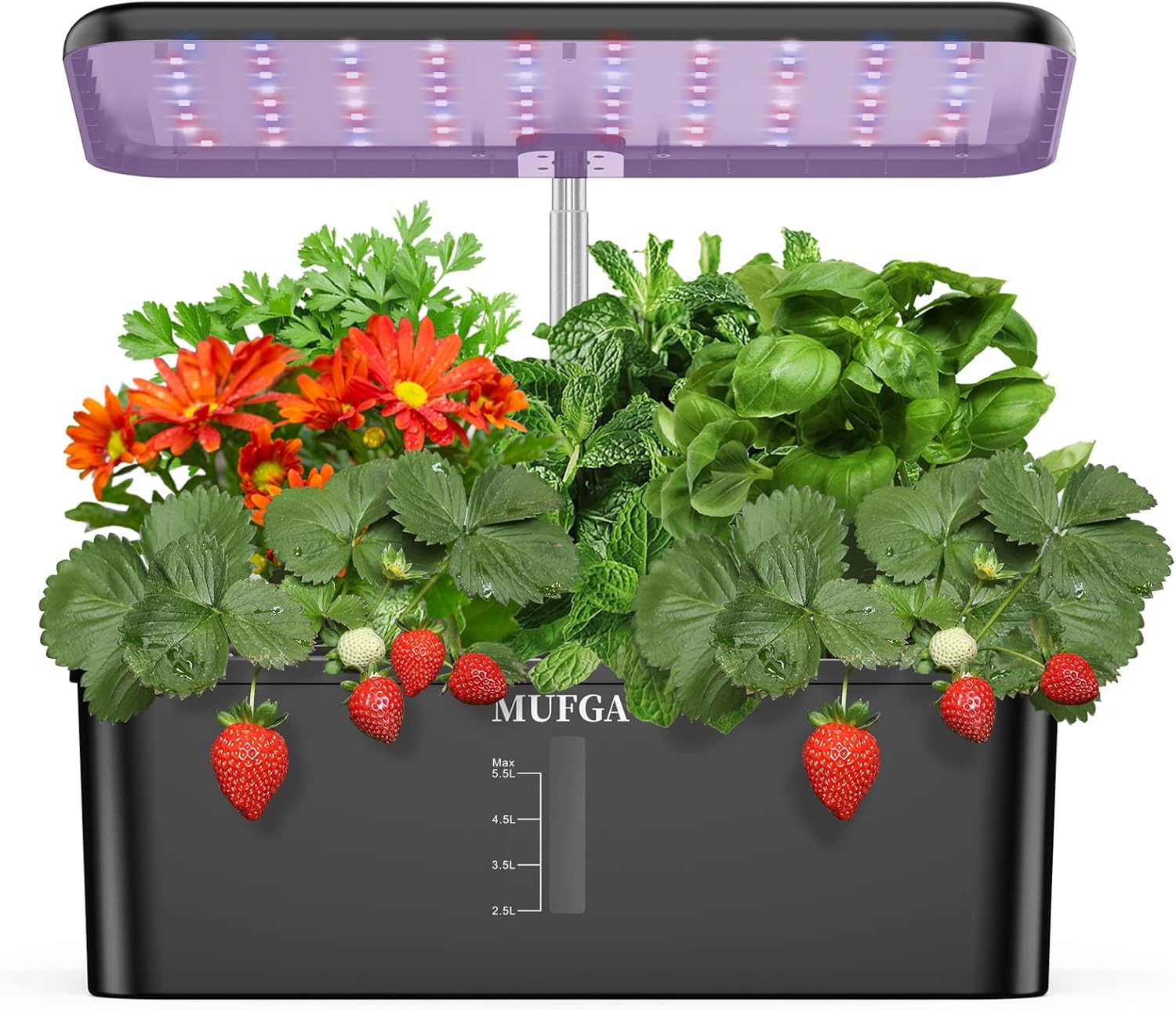 MUFGA 12 Pods Hydroponics Growing System, Indoor Garden with LED Grow Light, Pla...