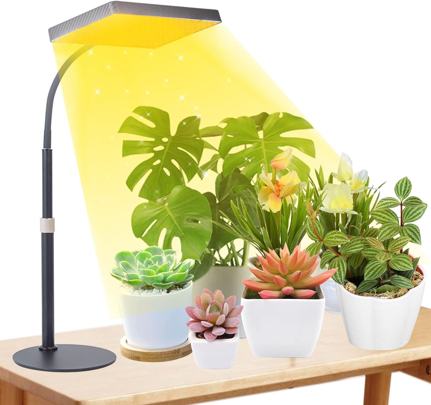 FECiDA Desk Grow Lights, Special Grow Light for Indoor Plants, High-Quality Grow...