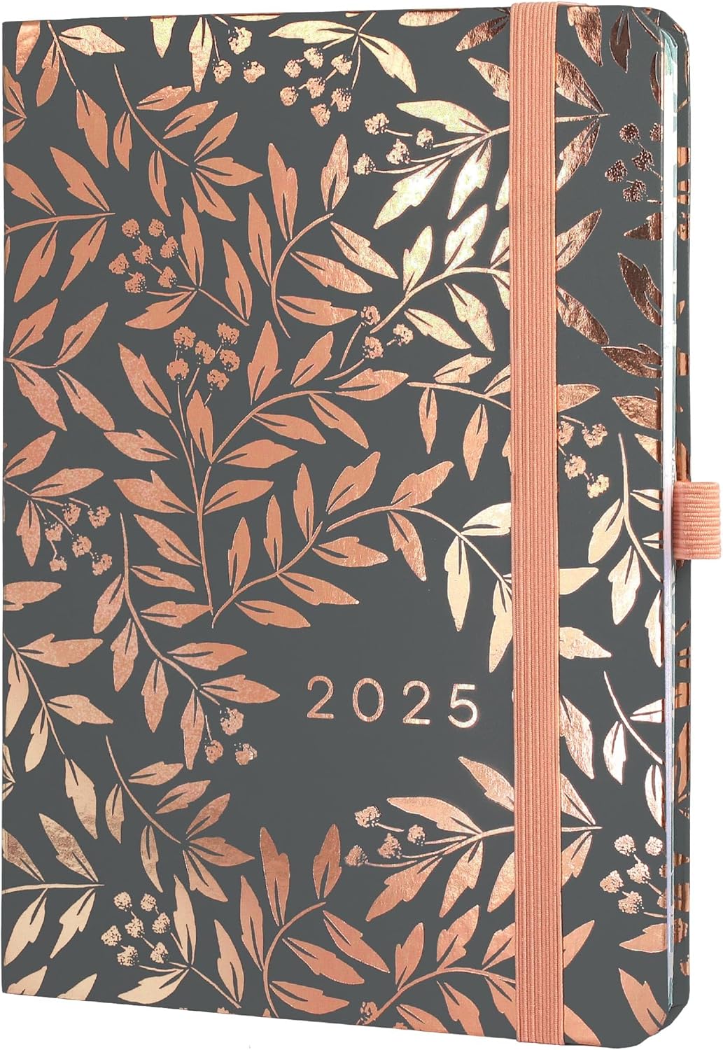 Boxclever Press A5 Diary, Special Everyday 2025 Diary for Optimal Planning, High...