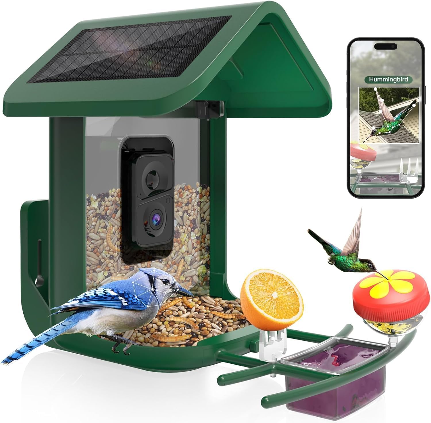 Bird Feeder with Camera Solar Powered: Smart Camera Bird Feeder 2K Live Feed Cam...