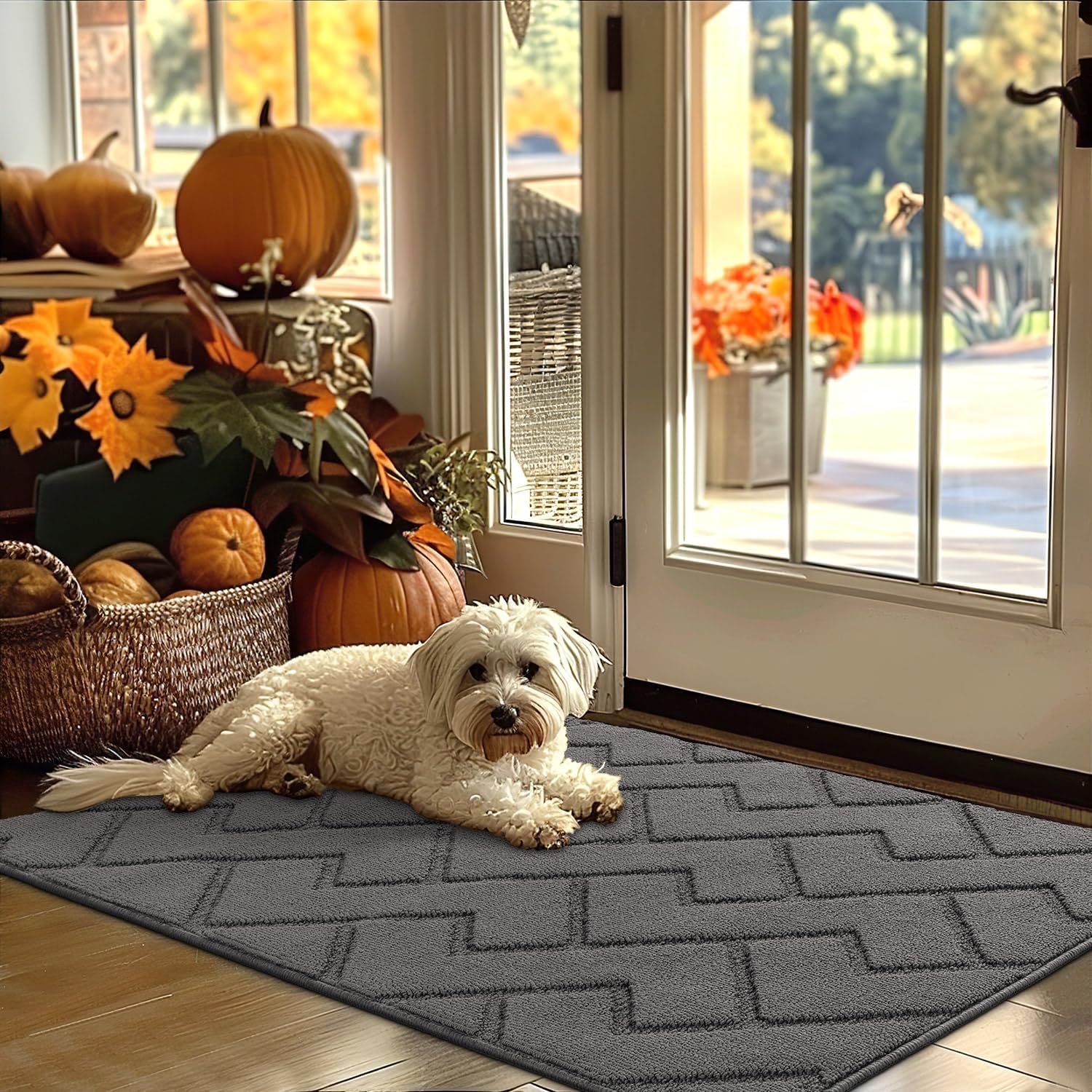 hicorfe Indoor Doormat,Front Back Door Mat Rubber Backing Non Slip Door Mats 32"...