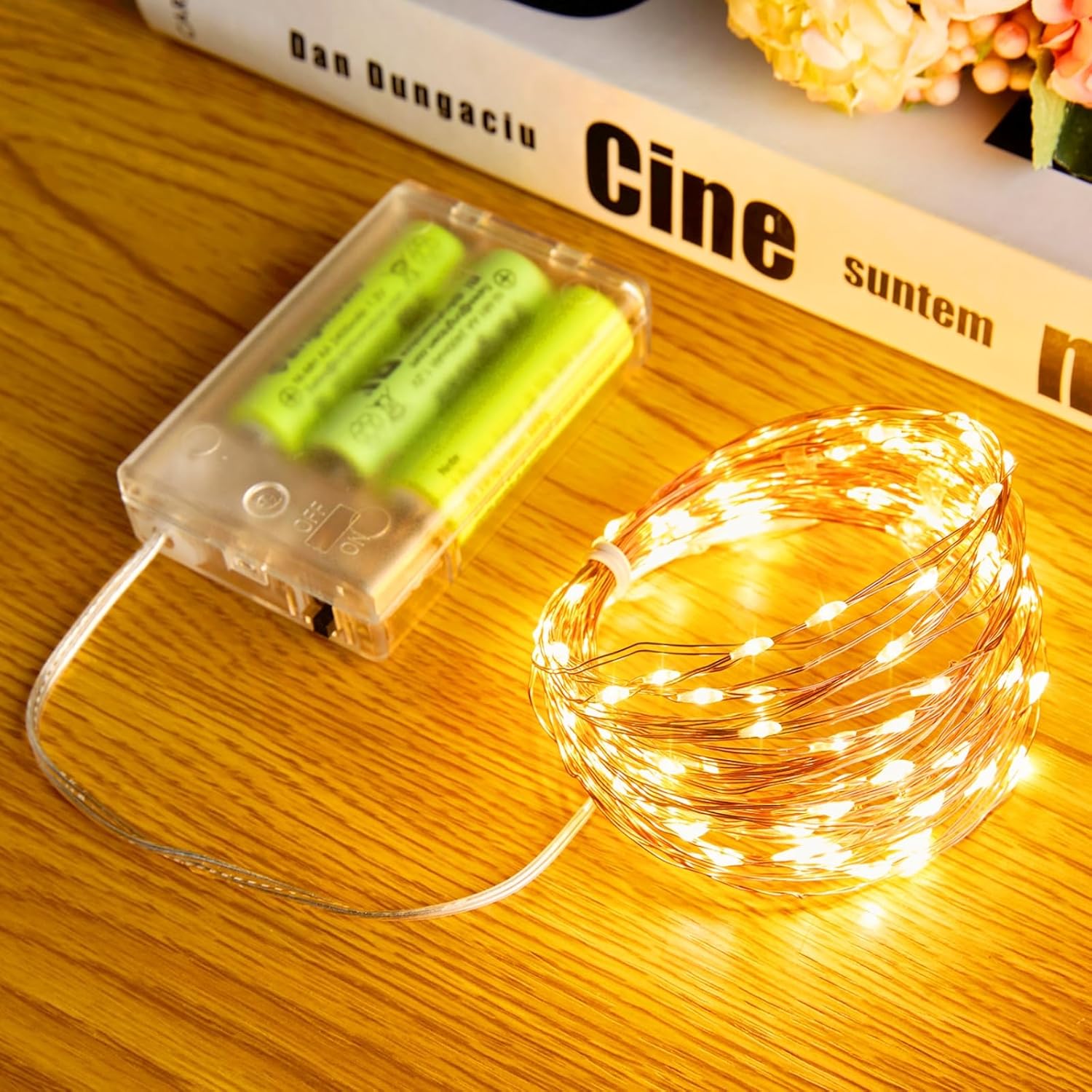 Fairy Lights, 100 LED Battery Operated String Lights Silver Wire Light for Indoo...