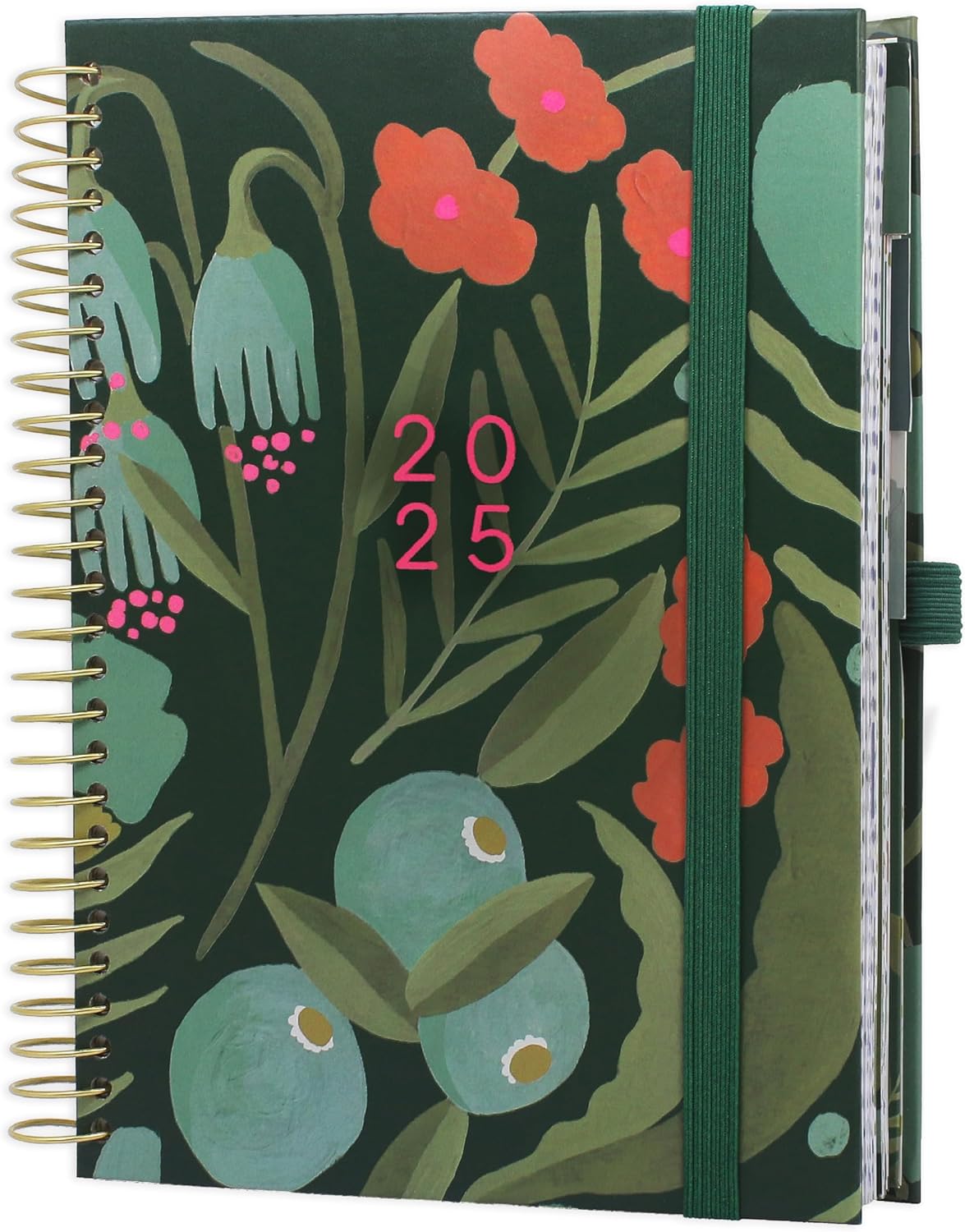 Boxclever Press Family Life 2025 Diary A5 Week to View. Stunning Diary 2025 with...