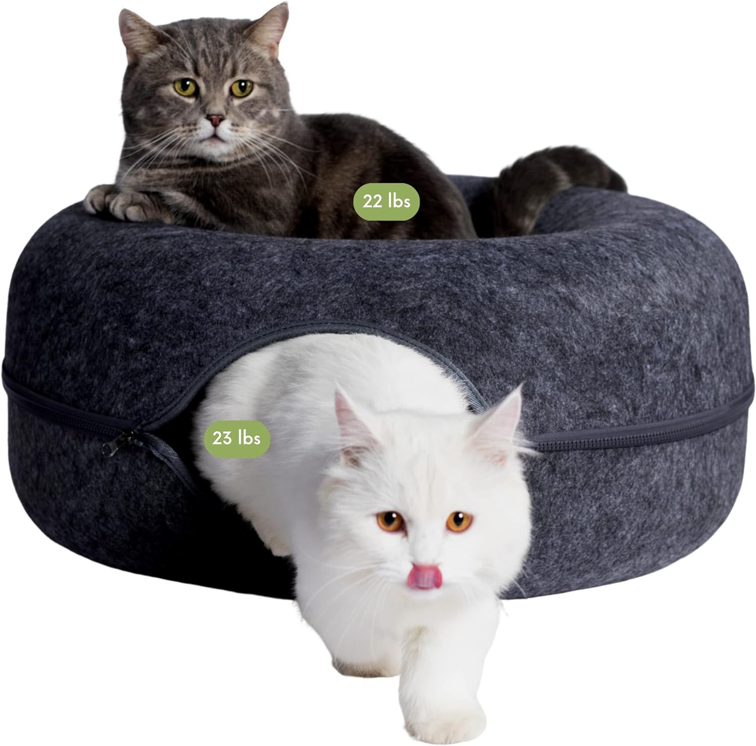 CATTASAURUS Peekaboo Cat Cave for Multiple & Large Cats Up to 30-45 Lbs, Scratch...