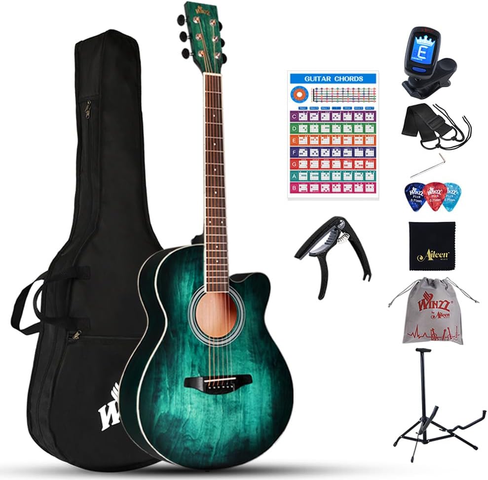 Winzz 40 Inches Acoustic Steel-string Guitar Beginner, Elegant Unique Color Desi...
