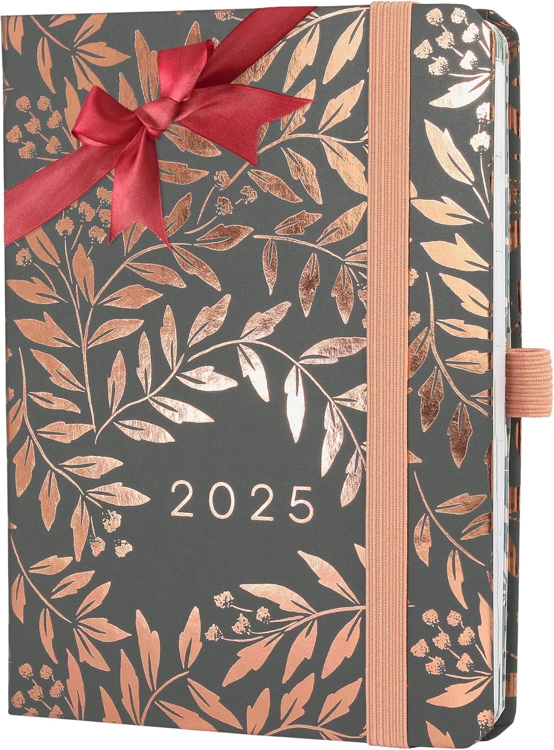 Boxclever Press Everyday 2025 Diary with Dotted Note Pages. Christmas Gifts For...