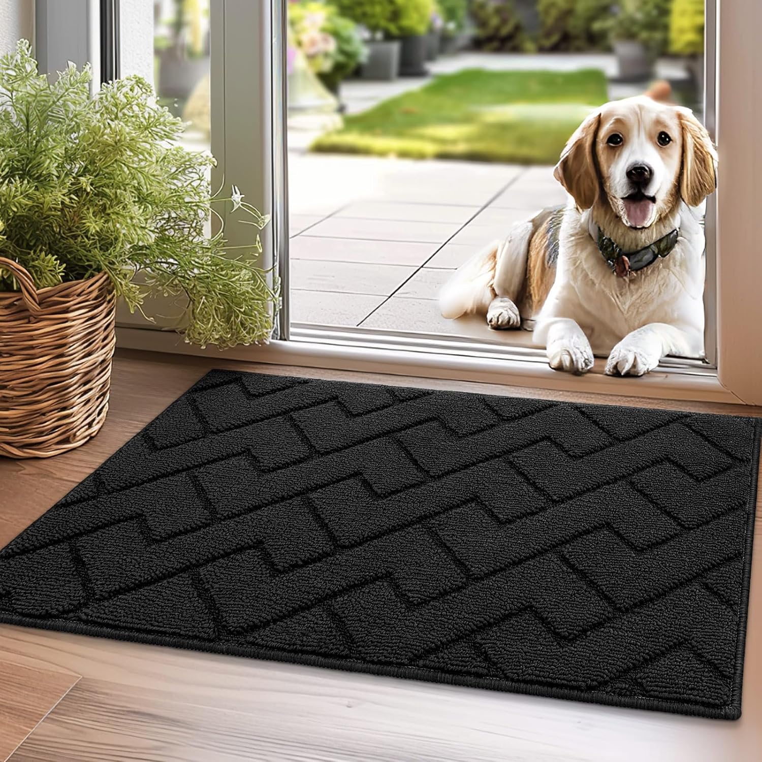 hicorfe Indoor Doormat,Front Back Door Mat TPR Backing Non Slip Mats 20"x31.5" A...