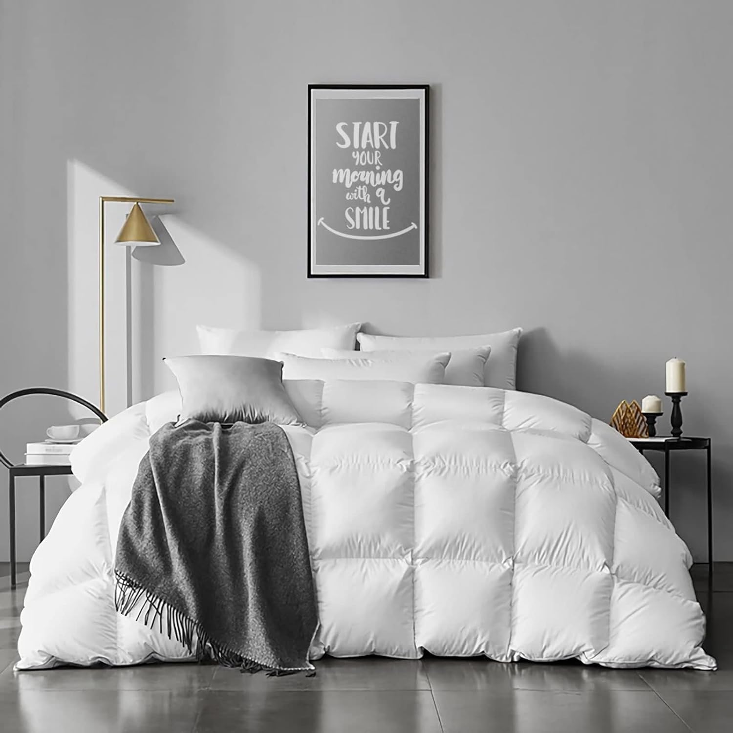 APSMILE Queen Size Feathers Down Comforter - Ultra Soft All Seasons 100% Organic...