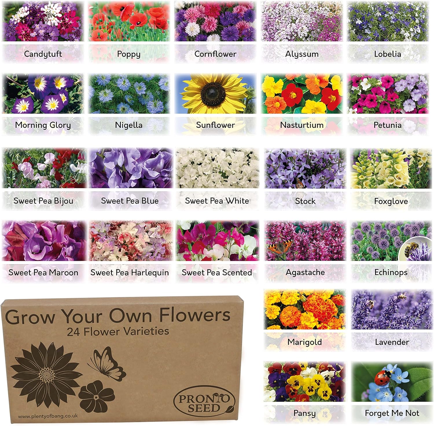 Pronto Seed Bumper Pack Grow Your Own Kit - 24 Varieties of Flowers - Over 3100...