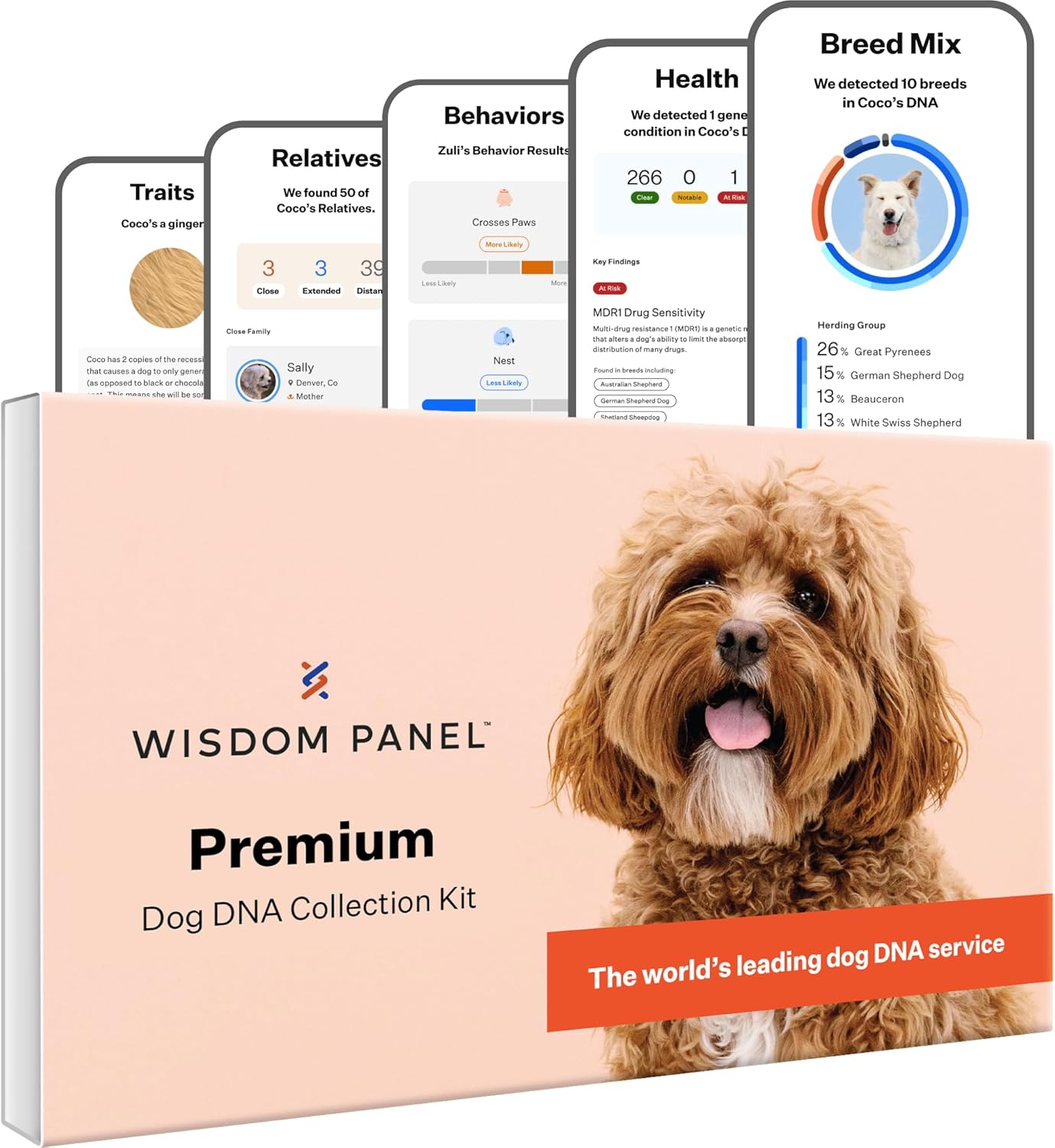 Wisdom Panel Premium Dog DNA Kit: Most Comprehensive with 265+ Health Tests, Ide...