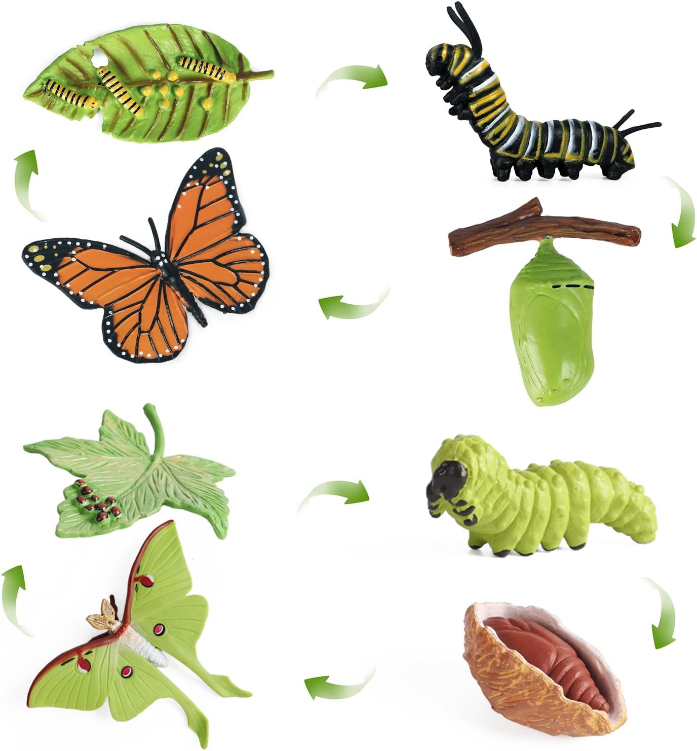 SIENON 4pcs Butterfly Life Cycle Toy Figurines and 4pcs Actias Ningpoana Figure-...