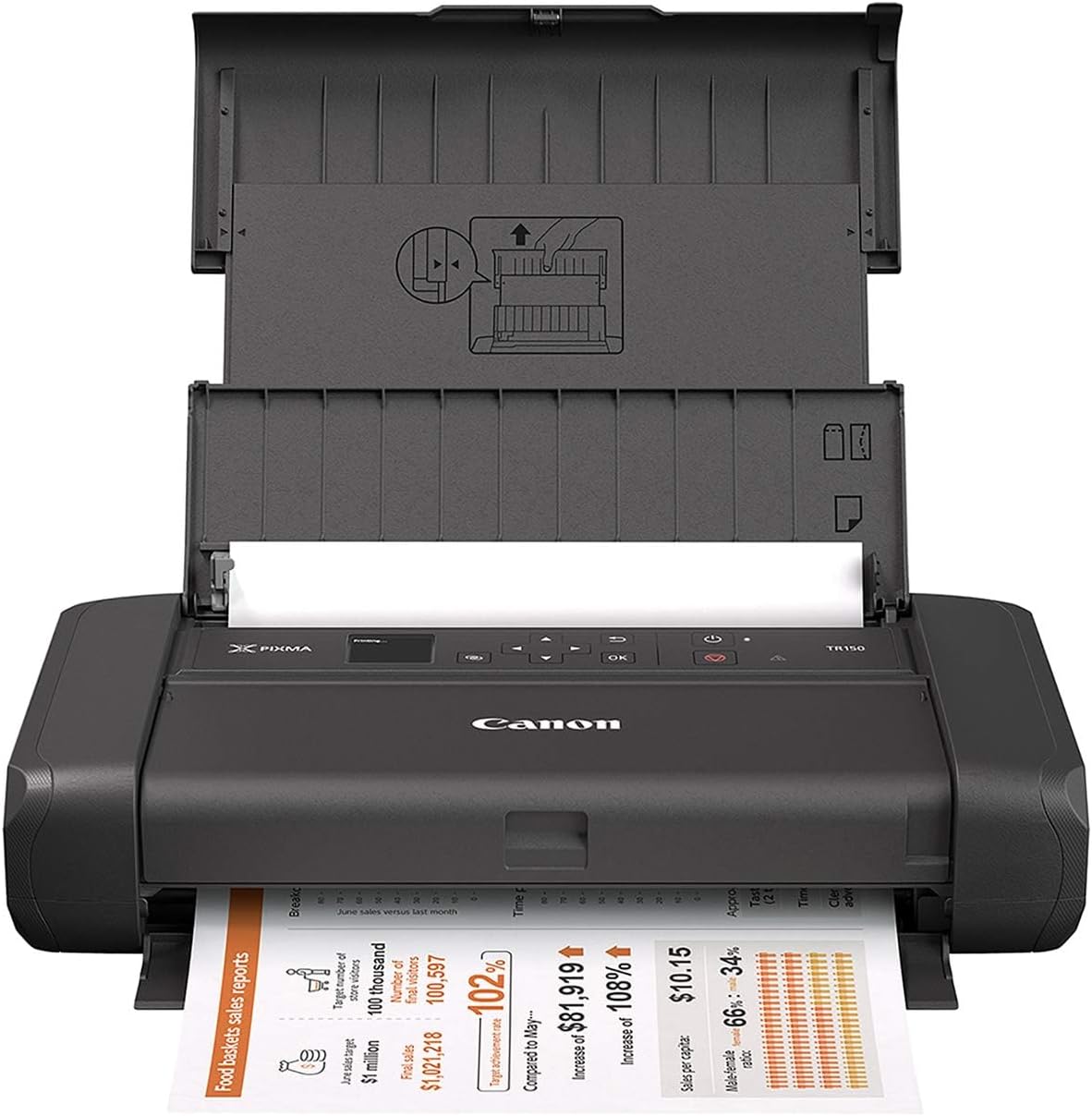Canon PIXMA TR150 Wireless Portable Printer New
