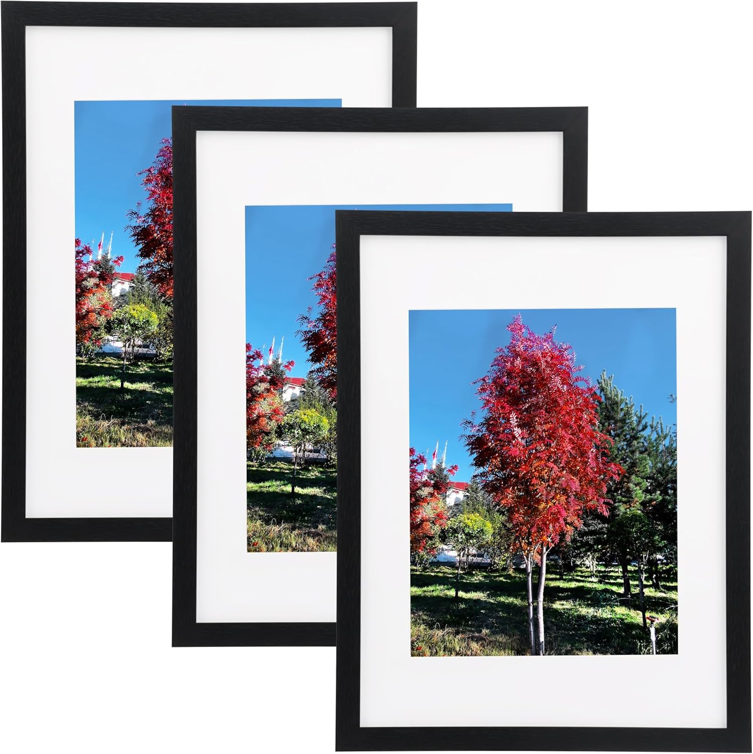 Medog 12x16 Wood Picture Frame in Black, 3 Pack 12x16 Wooden Poster Frame Displa...