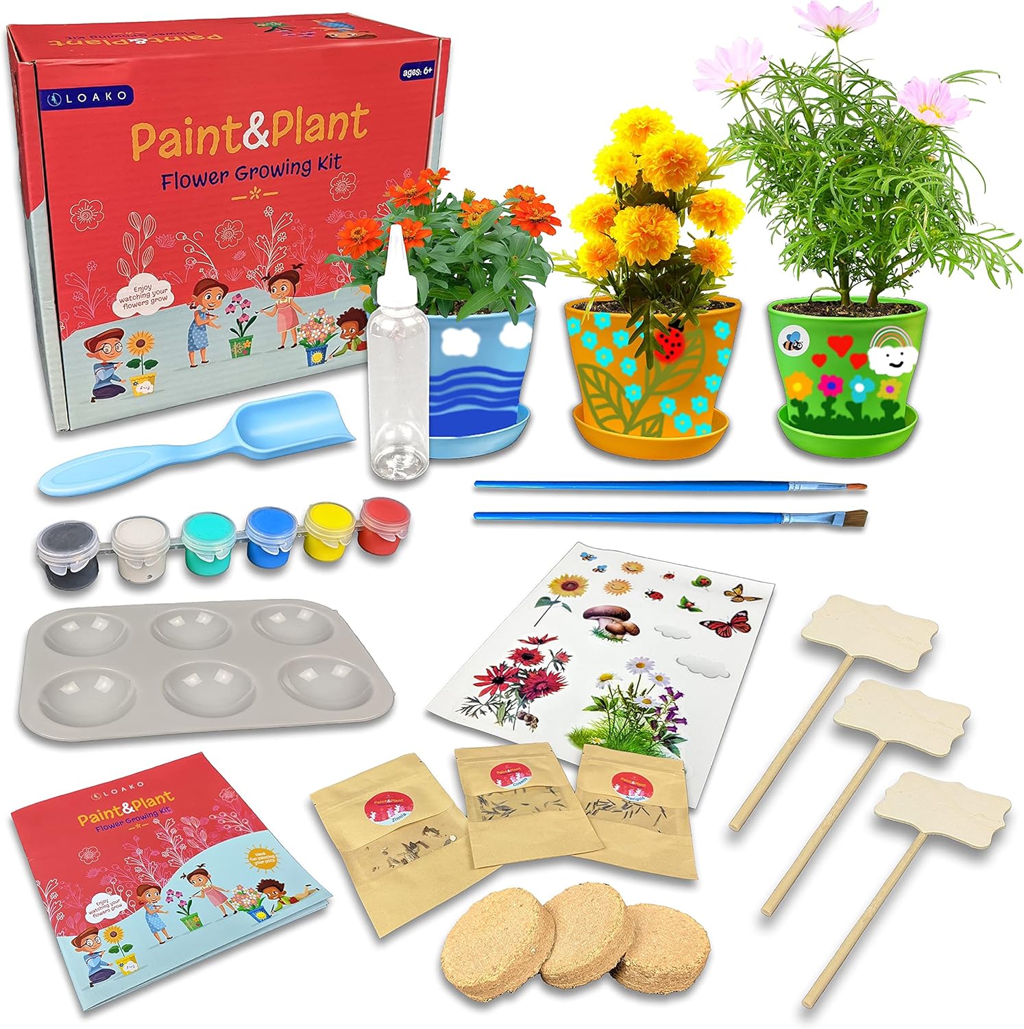 Paint and Plant Flower Growing Kit for Kids - Kids Gardening Set Gifts for Girls...