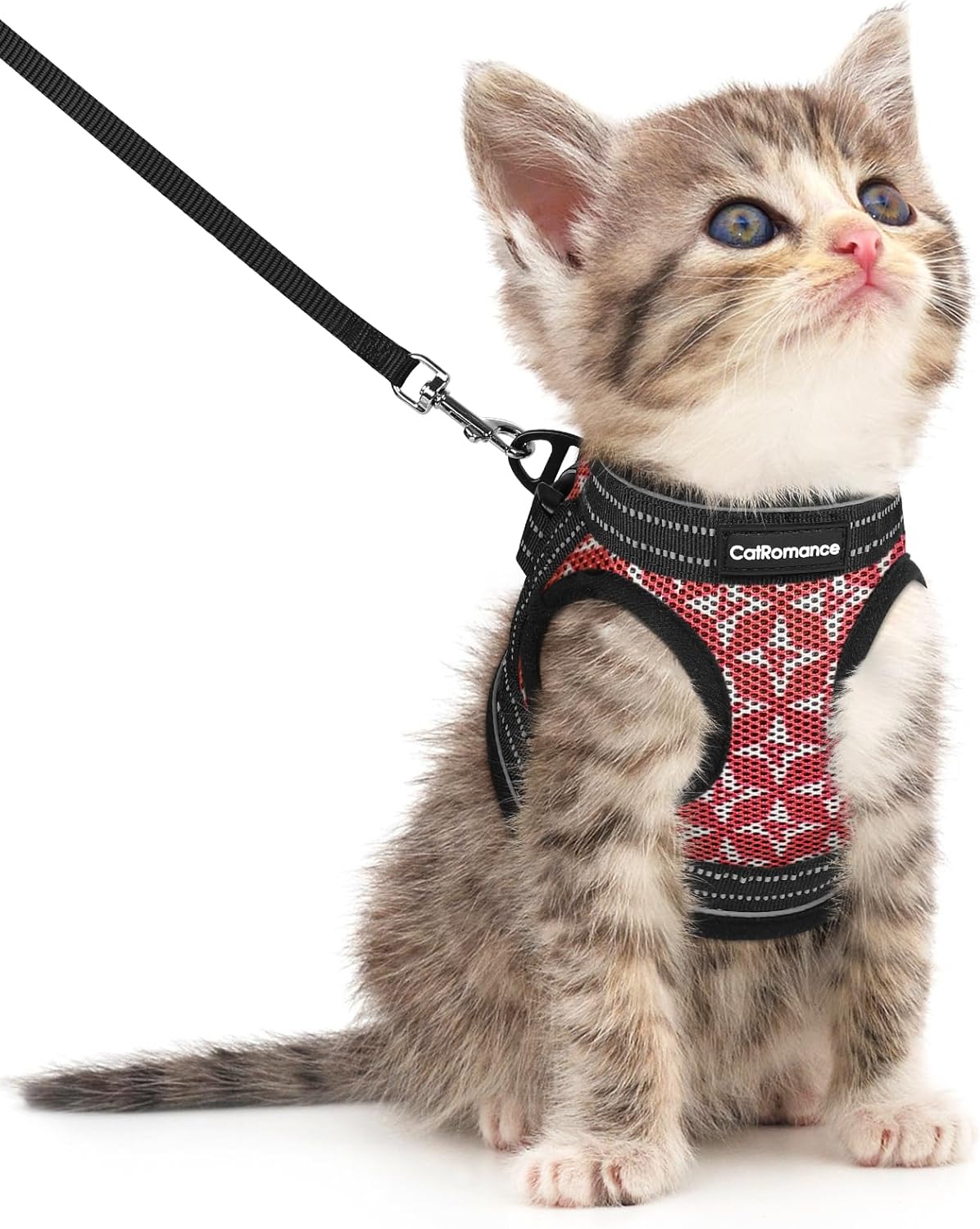 Cat Harness and Leash Escape Proof for Walking, Safe Adjustable Small Kitten Ves...