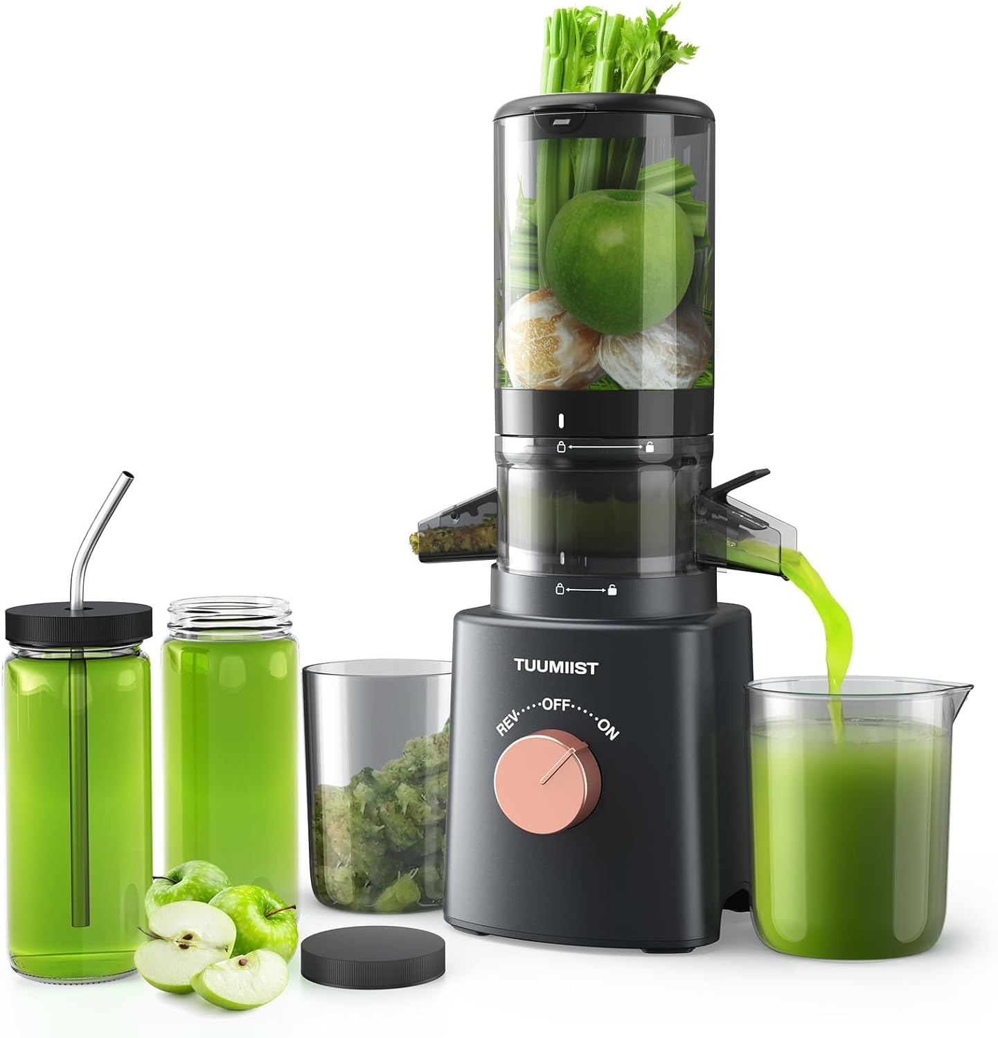 Cold Press Juicer with 8 Juice Bottles - Masticating Juicer Machines for Fruits...