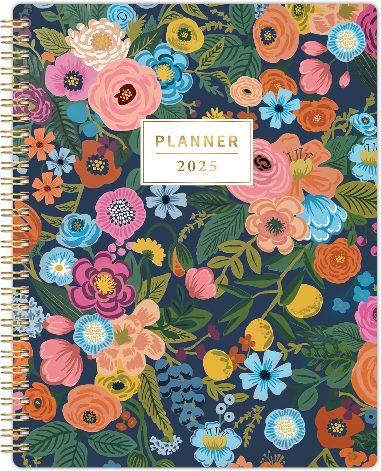 2025 Planner - 2025 Planner Weekly and Monthly, Jan. 2025 - Dec. 2025, Calendar/...