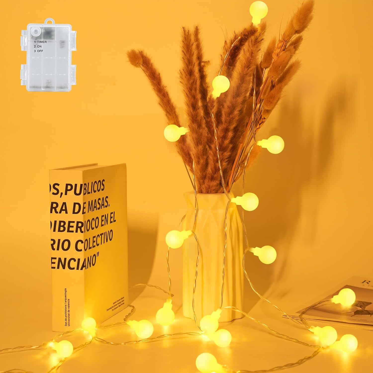 FFZZKJ Globe Fairy Lights Battery Operated with Timer Fairy Lights for Bedroom I...