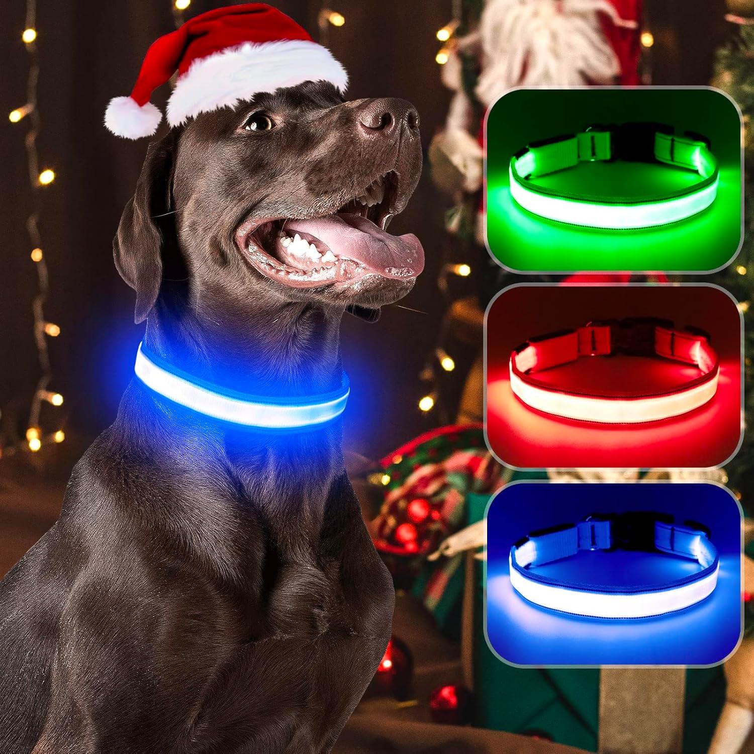 Visinite Light Up Dog Collar Rechargeable,Waterproof Led Dog Collar, Reflective...