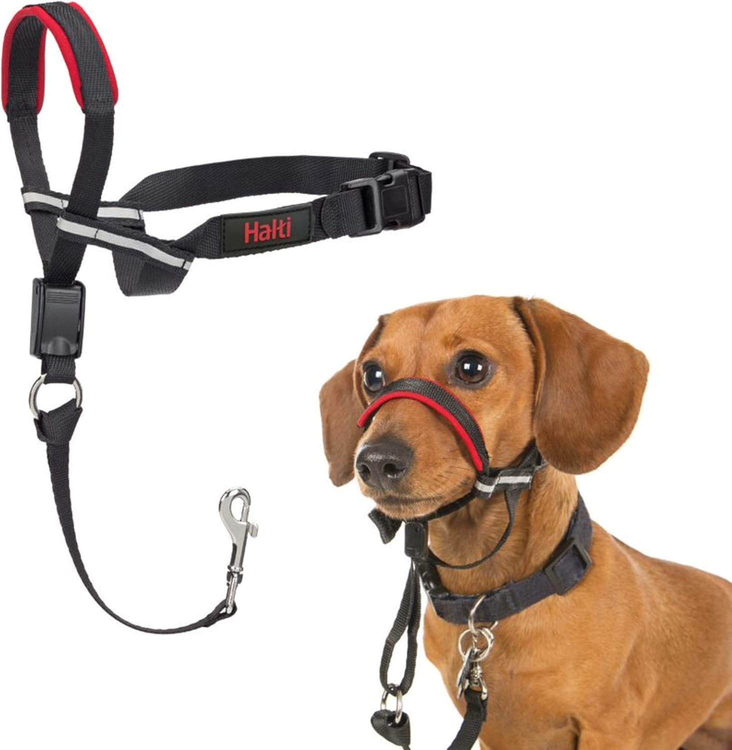 HALTI Optifit Headcollar Size Small, Dog Head Harness to Stop Pulling on the Lea...