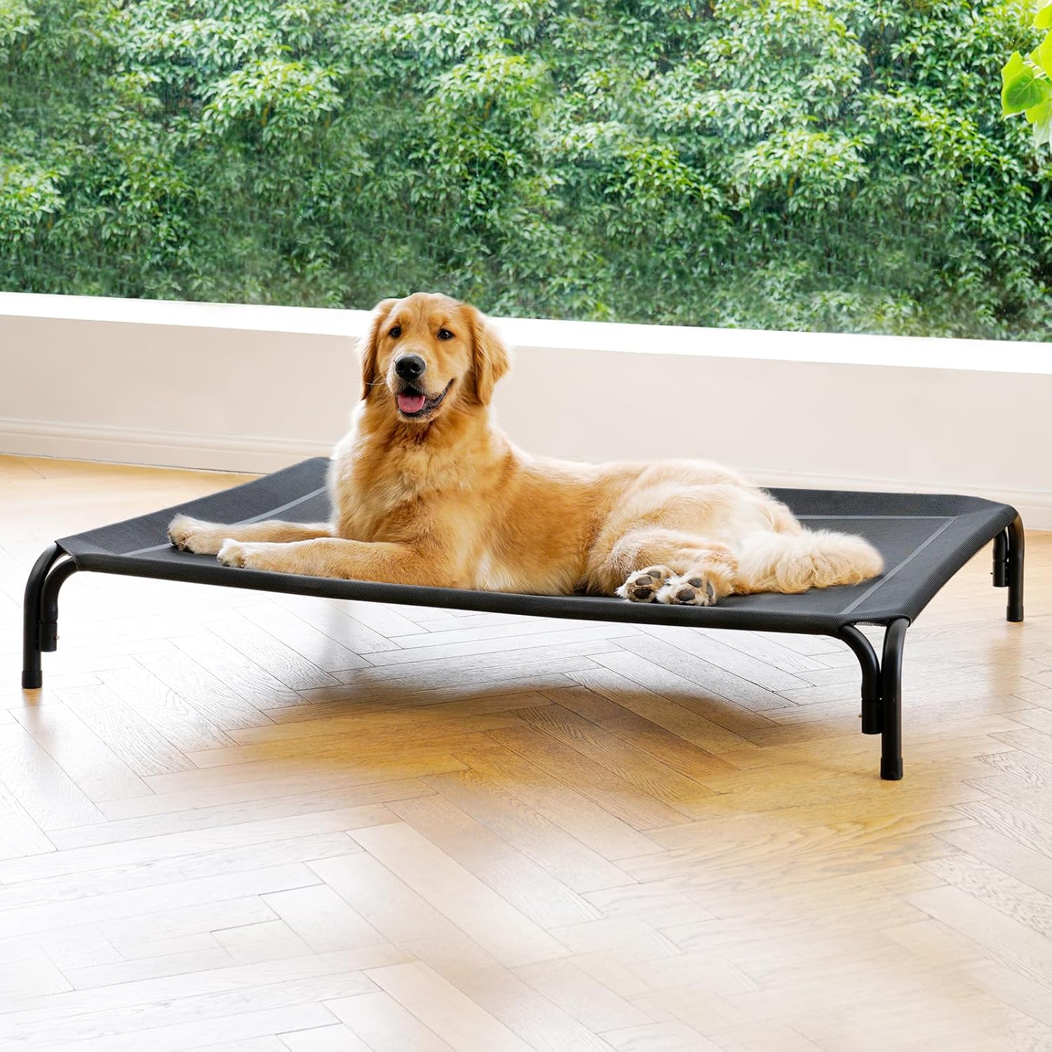 Elevated Dog Bed Raised Outdoor Dog Cot for Large Dogs, Installation Requires No...