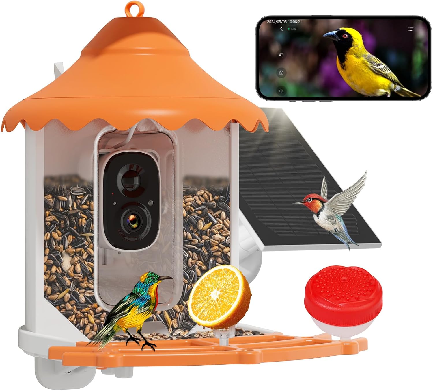 Hiseeu Bird Feeder with Camera, 2.5L Large Capacity, AI Identify 11000+ Birds Sp...