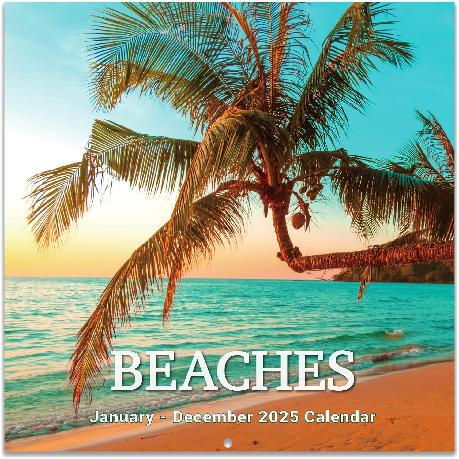 Calendar 2025 - Wall Calendar 2025, Jan.2025 - Dec.2025, 12" x 24" (Open), 12-Mo...