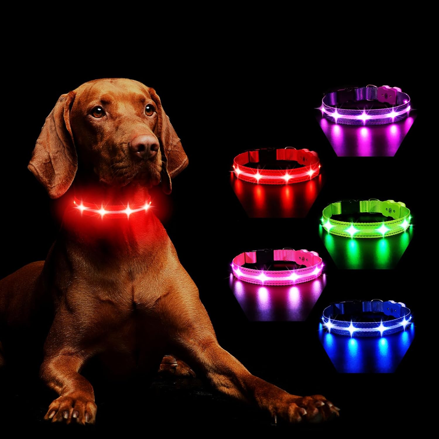 MASBRILL Light Up Dog Collars-RGB Lighted Dog Collar Flashing Led Dog Collar Rec...