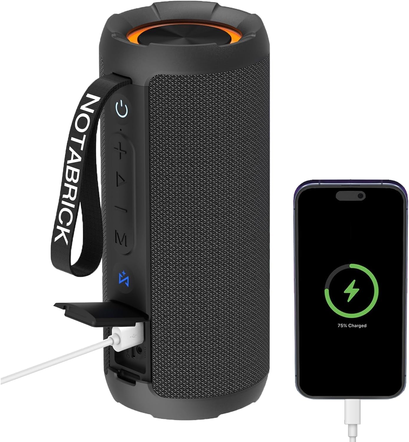 NOTABRICK Bluetooth Speakers, 40W DSP Speaker Bluetooth Wireless with Light, IPX...