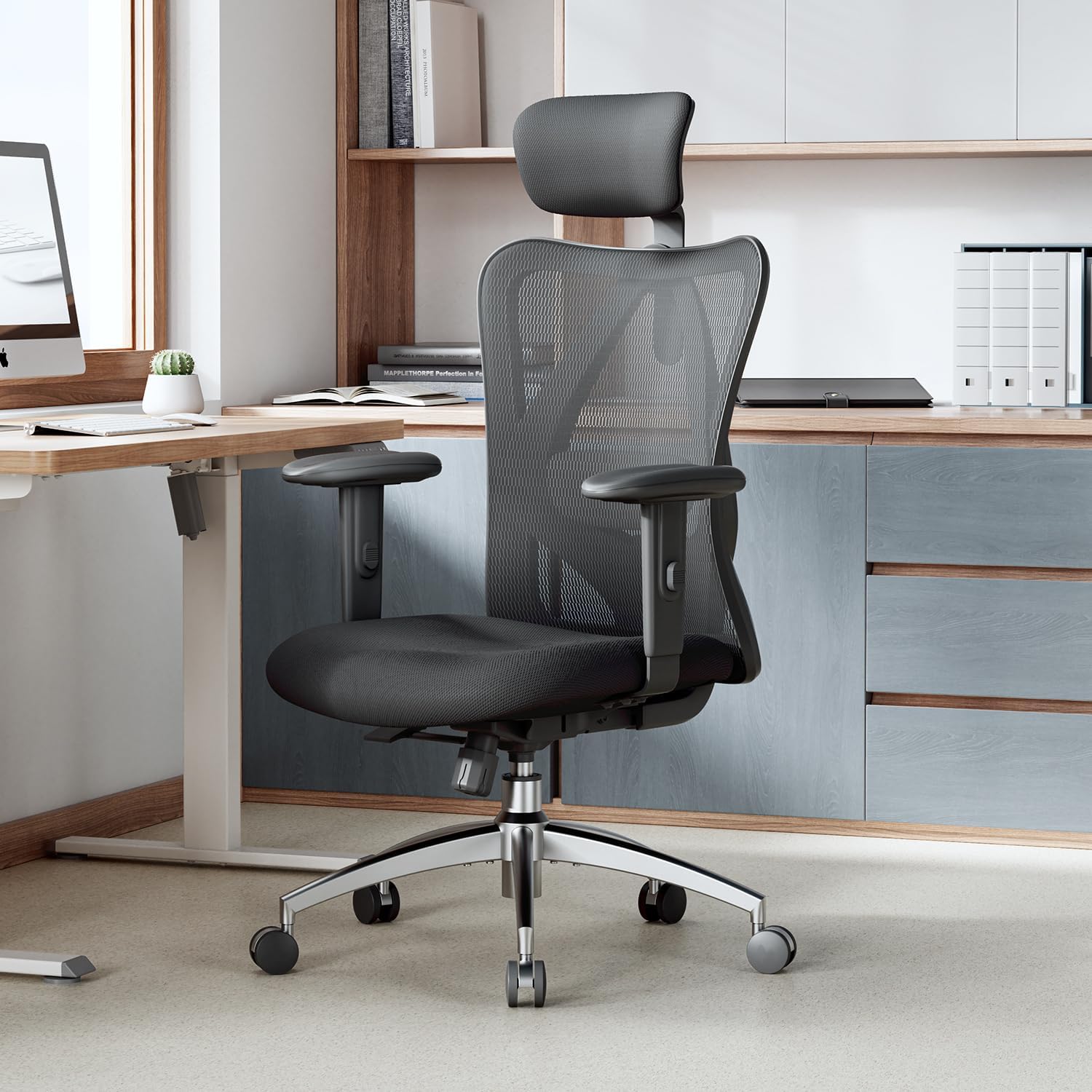 SIHOO M18 Ergonomic Office Chair, Computer Desk Chair with Adjustable Headrest a...