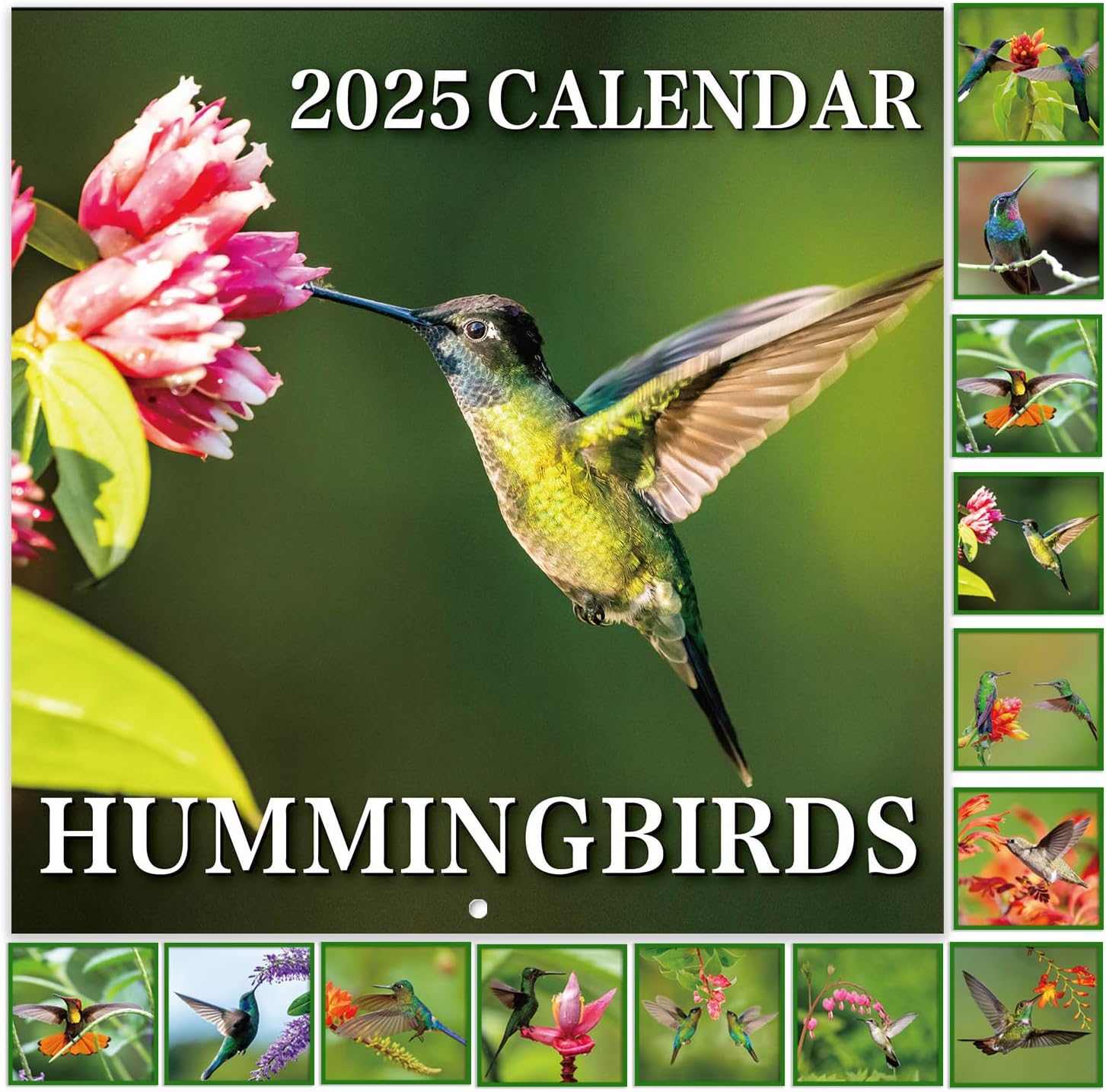 2025 Wall Calendar - Calendar 2025, Jan. 2025 - Dec. 2025, Hummingbirds Calendar...